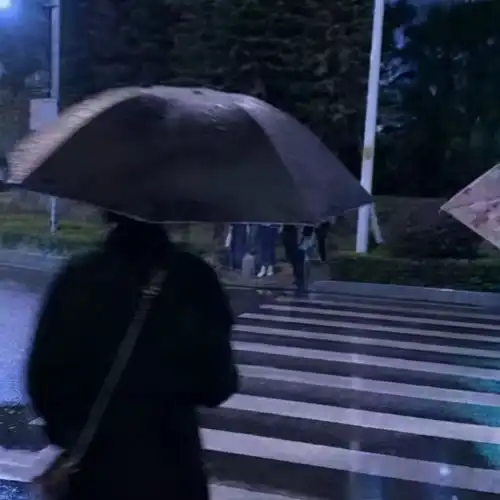 特别心酸意难平的情绪文案
