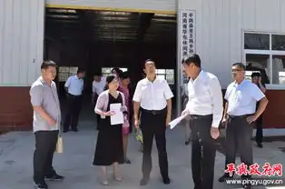 平舆县委副书记县长赵峰就巧媳妇工程进行调研
