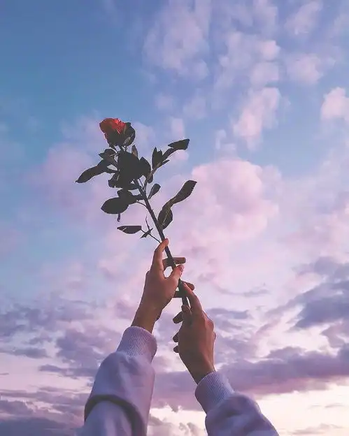 为什么有的男人舍不得为女人花钱
