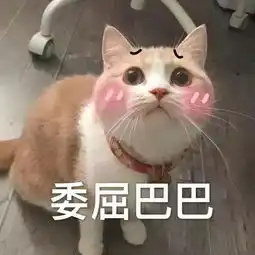 泫雅出道10年献首摔,晓钟男友力max霸气扶腰甜到齁
