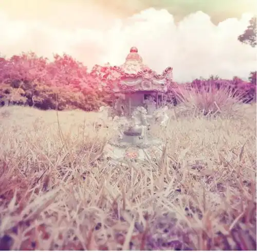 经济允许,一定要带父母到这六个地方走走既散心又长知识
