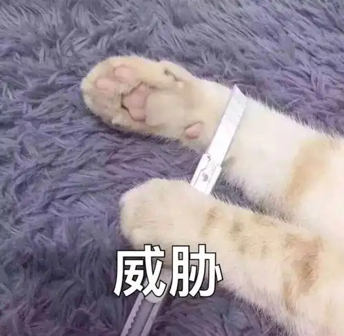 有花算什么有ta才是人生赢家
