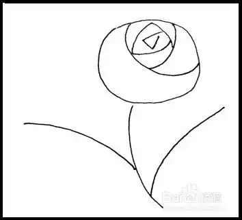 怎样画简笔画花卉玫瑰2
