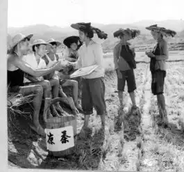 厉害了,我的镇一个让您骄傲的大岭山镇