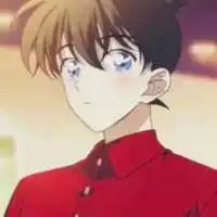 名侦探柯南小兰情头动漫头像
