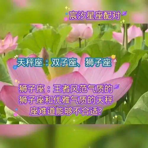 十二星座配对情侣三
