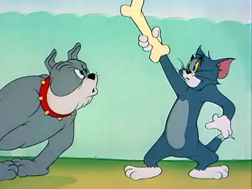 猫和老鼠乖狗狗化身笨驴
