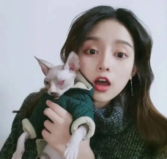 这三大星座女,追求不安全感,喜欢刺激的生活,尤其第一
