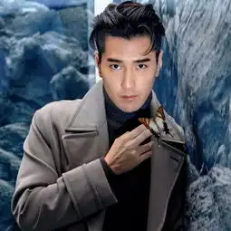 胡歌像猫一样的演员
