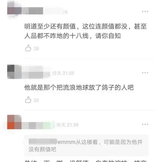 不那么红,那么悲惨杨演员的明道的内涵是一个花瓶
