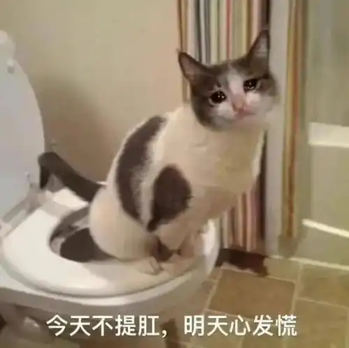 你手机里缺的表情包全都在这
