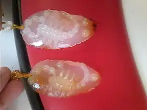 想问问各位专家,这是玛瑙还是玉髓,有什么区别,市场价多少
