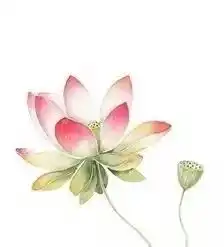 包头市清净寺将于农历六月十九7月21日观世音菩萨成道日举办祈福消灾超荐法会
