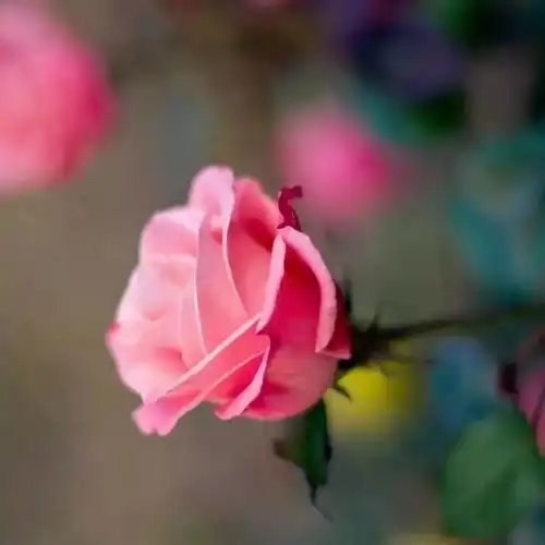 春季满乡,时令菜品
