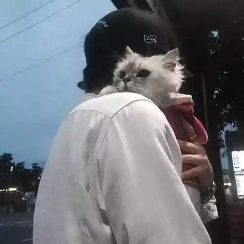 买卫生纸一定要看这几个字,可惜很多人都不知道
