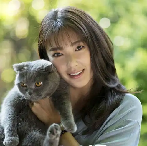 刘亦菲收养30多条流浪猫高圆圆甘心被猫虐胡歌是24孝猫奴
