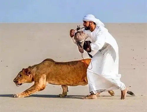 中国女孩嫁到迪拜,每天享受荣华富贵,到晚上却表示坚持不住了
