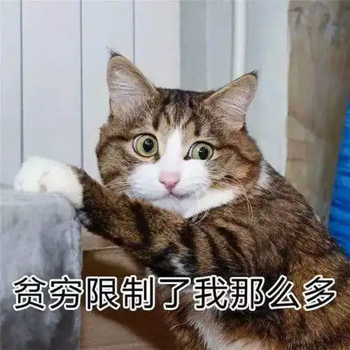 阿里虎牙纷纷下注,10亿人的小众市场终将出圈
