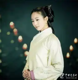 汉服的包装设计有美一人,清扬婉兮
