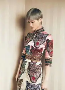 春哥已经不是你春哥孔雀刺绣长裙亮相纽约,不输ladygaga
