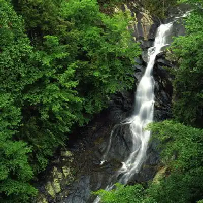 2023秀丽唯美风景头像
