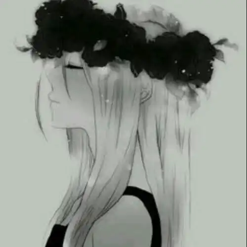 斑马斑马另类伴奏
