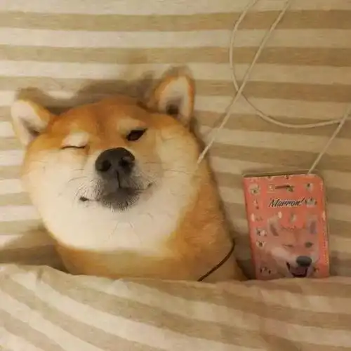 明天你是否会想起不想起
