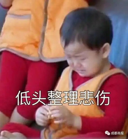 成都现戏精飞天贼,扒电梯偷48瓶飞天茅台被逮时躺床上装业主
