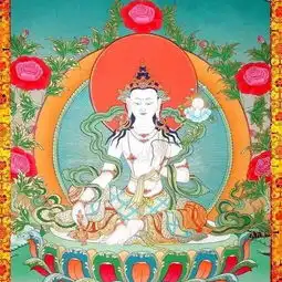 法讯沈阳皇寺大型放生法会
