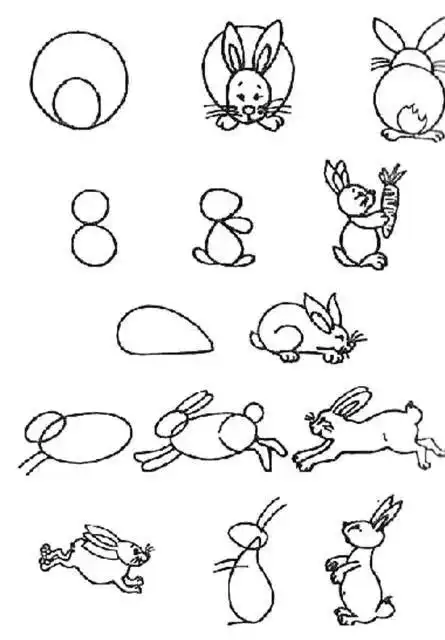 一组适合零基础画的简笔画教程
