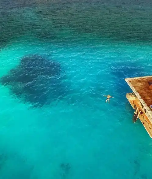 潜水累了可以直接与鱼同眠一探那些深藏海底的神秘酒店
