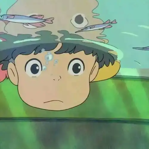 有没有龙猫,悬崖上的金鱼姬还有美少女战士的壁纸或者头像呀
