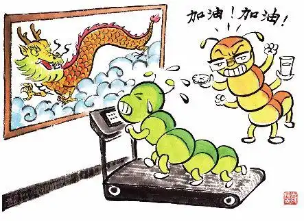 动漫分析
