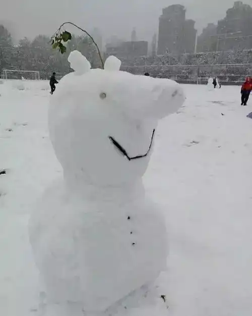 最不走心雪人新鲜出炉,看完给跪了哈哈哈哈哈哈哈哈哈
