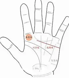 大男人主义的男人手相图解
