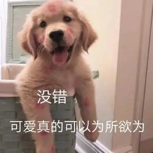 30条朋友圈被秒赞的文案我频繁记录着,因为觉得生活值得
