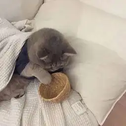 别急,会有始料不及的运气,会有突如其来的欢喜
