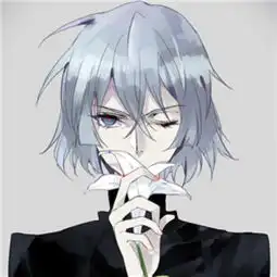 插画动漫二次元头像男
