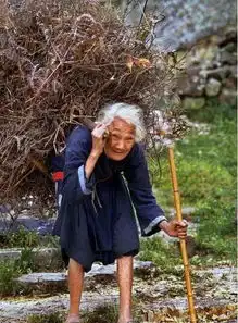 那些触及心灵深处的图片
