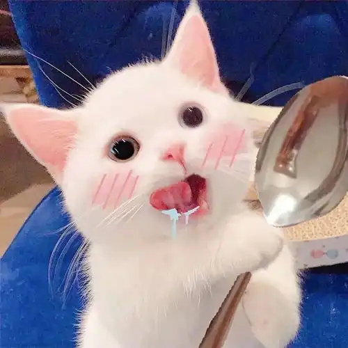 这波情侣头像太好看了叭
