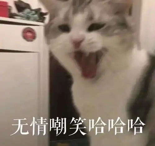 猫咪隔三差五在床上排便,是为了报复主人你可能想的太简单了
