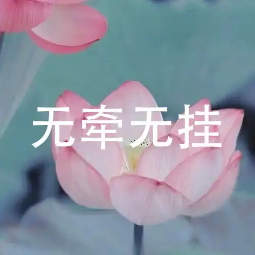 微信头像荷花并配字荷花头像带字佛系静心
