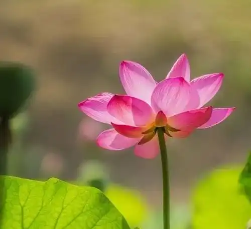 家长都关心的校长陪餐制,这些学校这样落实
