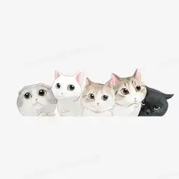 卡通手绘猫咪png图片素材免费下载png格式640640像素熊猫办公
