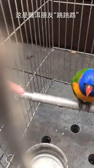 看我脸色行事
