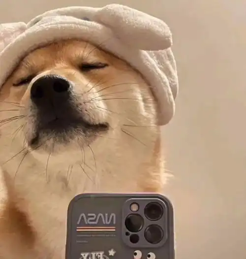 超nice的微信头像
