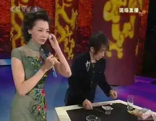 董卿十三年不变,你却已经老了
