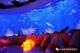 夜宿极地鱼我同眠,你想知道的在这里
