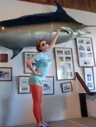 谢晖自曝曾翻墙夜会女主播与前妻分手费上百万
