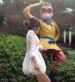 请用4个字形容这张照片搜狐娱乐搜狐网
